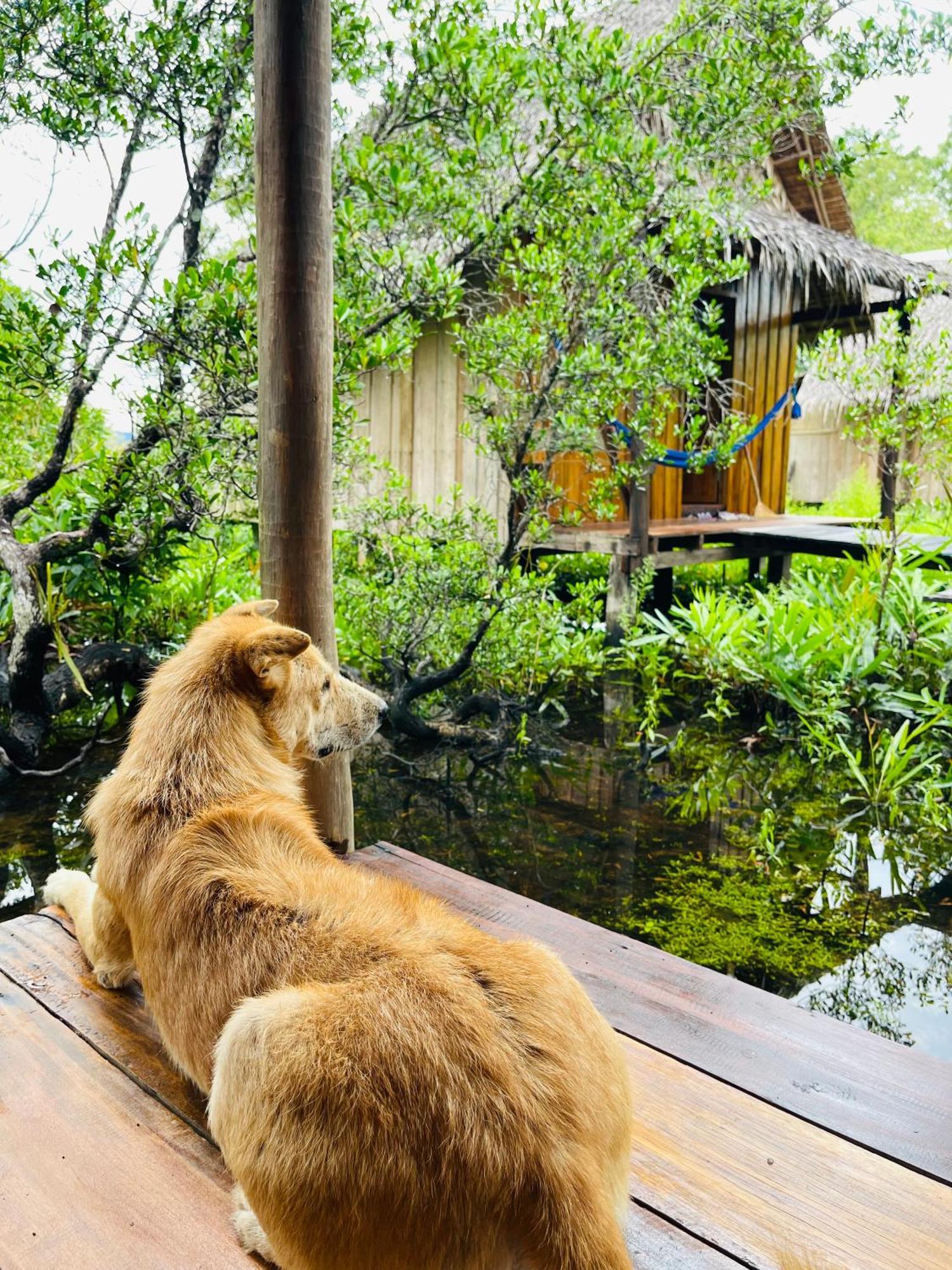 Lily'S Riverhouse Prek Svay Village Exterior photo